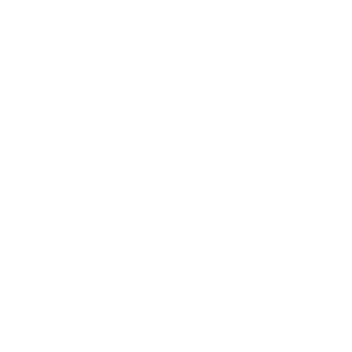 Persoanelor aflate în vizită de afaceri