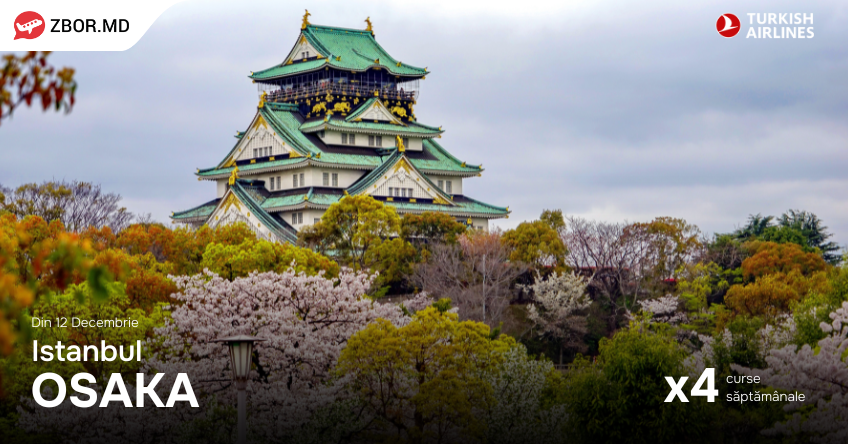 Osaka Este Noua Ta Destinație! Tot ce Trebuie să Cunoști